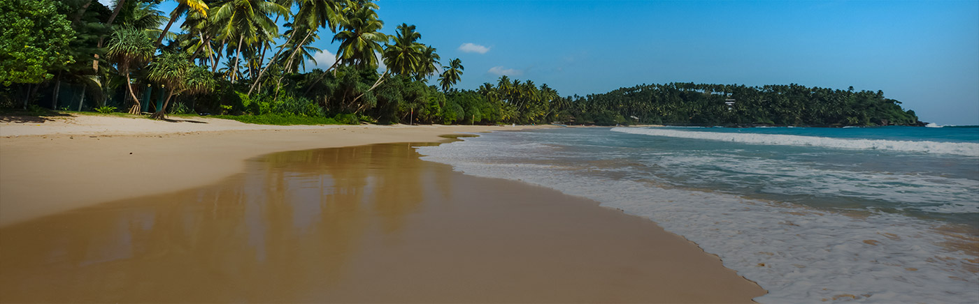 A curving west-coast beach backed by coconut palms