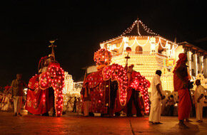 Arrive in Kandy